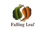 Falling Leaf Yoga and Massage