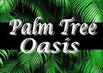 Palm Tree Oasis