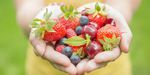 Northside Nutrition
