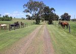 Konect Equine Wisdom and Wellness Centre