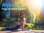 Morning Glow Yoga for Beginners