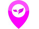 Lifemaps Coaching