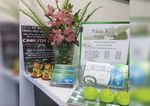 Nida's Healing Touch Massage Therapy