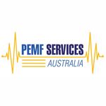 Pulsed Electro-Magnetic Field Provider