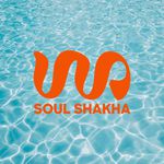 Soul Shakha Vedic Meditation