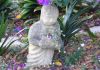 Massage Therapies