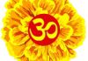 Suite Marigold