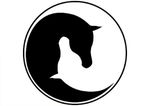 Equine Assisted Therapy & Narrative Therapy