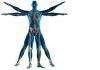 Lynne Moore Physiotherapist