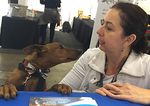 The Pet Practitioner