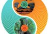 Inner Rhythms Acupuncture