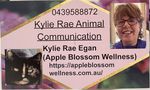 Kylie Rae Animal Communication and Healing (Apple Blossom Wellness)