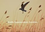 Alessia Kernot - Hypnotherapist
