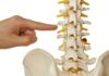 HealthBack - The Dorn Method  Dorn Spinal Therapy