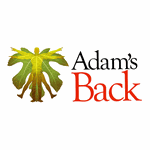 About Adam's Back