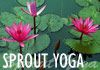 Sprout Yoga & Nutrition