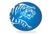 White Tiger Chinese Medicine