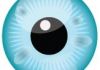 IrisCam Professional Iris Photography Systems
