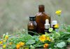 Jill Turland, Homeopath and Herbalist
