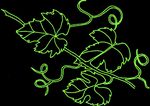 Teresa Crisp - Naturopathy