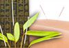 Thyme For Health - Acupuncture & Chinese Medicine
