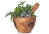 The Red Door - Naturopathy Services