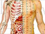 Authentic Man™ - Holistic Kinesiology