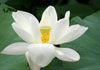 Oasis Natural Health Centres - Spiritual Healing