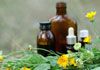 Wise Healthy Living - Homoeopathy