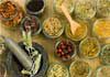 Evergreen Health Harmony Lifestyle - Naturopathy