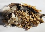 Esther Vrzic at East West Traditional Medicine Centre - Naturopathy