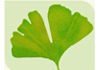 Catherine Bunton - Herbal Medicine