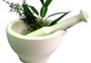 Wholistic Analysis Services - Naturopathy Services