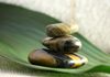 The Nature Of Balance - Herbal Medicine