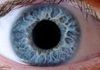 Anne Cousins - Iridology