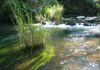 About Gumtree Retreat