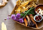 Lane Cove Wellness Centre & Pharmacy - Naturopathy