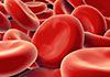 Hawkesbury Herbs & Healing - Live Blood Analysis