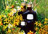 Body Mind Soul Natural Therapy Centre - Naturopathy / Homeopathy