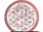 Earth Dragon Chinese Therapy