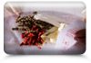 George Baksheev - Chinese Herbal Medicine