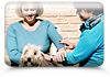 Animal Equilibrium - Animal Therapies