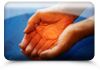Heaven on Earth Holistic Therapies - Healing Therapies