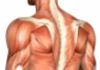 Enmore Centre for Spine & Musculoskeletal Health - Chiropractic Care