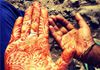 Reiki & Energy Healing