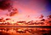 Dale Mowat - Wellness Treatments