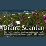 Diana Scanlan - Medical Intuitive Healer