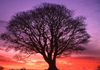 Spa and Beauty Therapies - Natures Wellness Centre