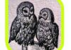 Owl's Rest