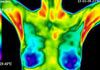Gold Coast Thermal Imaging